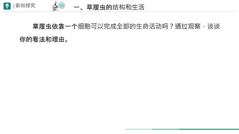 初中  生物  人教版（2024）  七年级上册  第一单元   第二章 认识细胞  第四节 细胞的生活 课件08