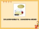 初中  生物  人教版（2024）  七年级上册  第一单元   第二章 认识细胞  第四节 细胞的生活 课件