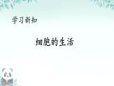 初中  生物  人教版（2024）  七年级上册  第一单元   第二章 认识细胞  第四节 细胞的生活 课件