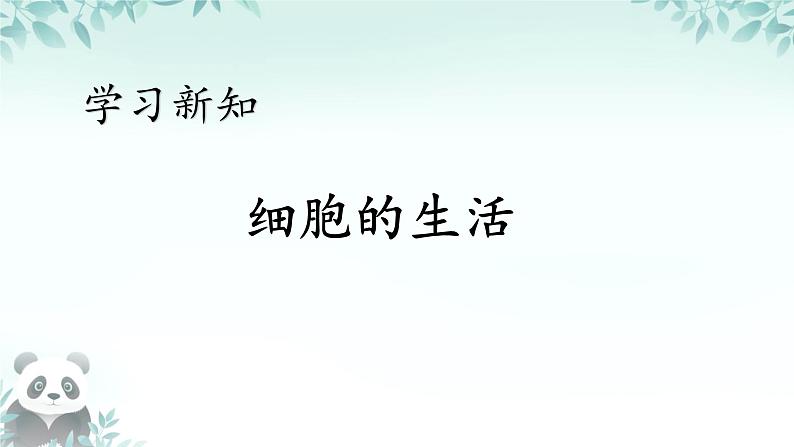 初中  生物  人教版（2024）  七年级上册  第一单元   第二章 认识细胞  第四节 细胞的生活 课件04