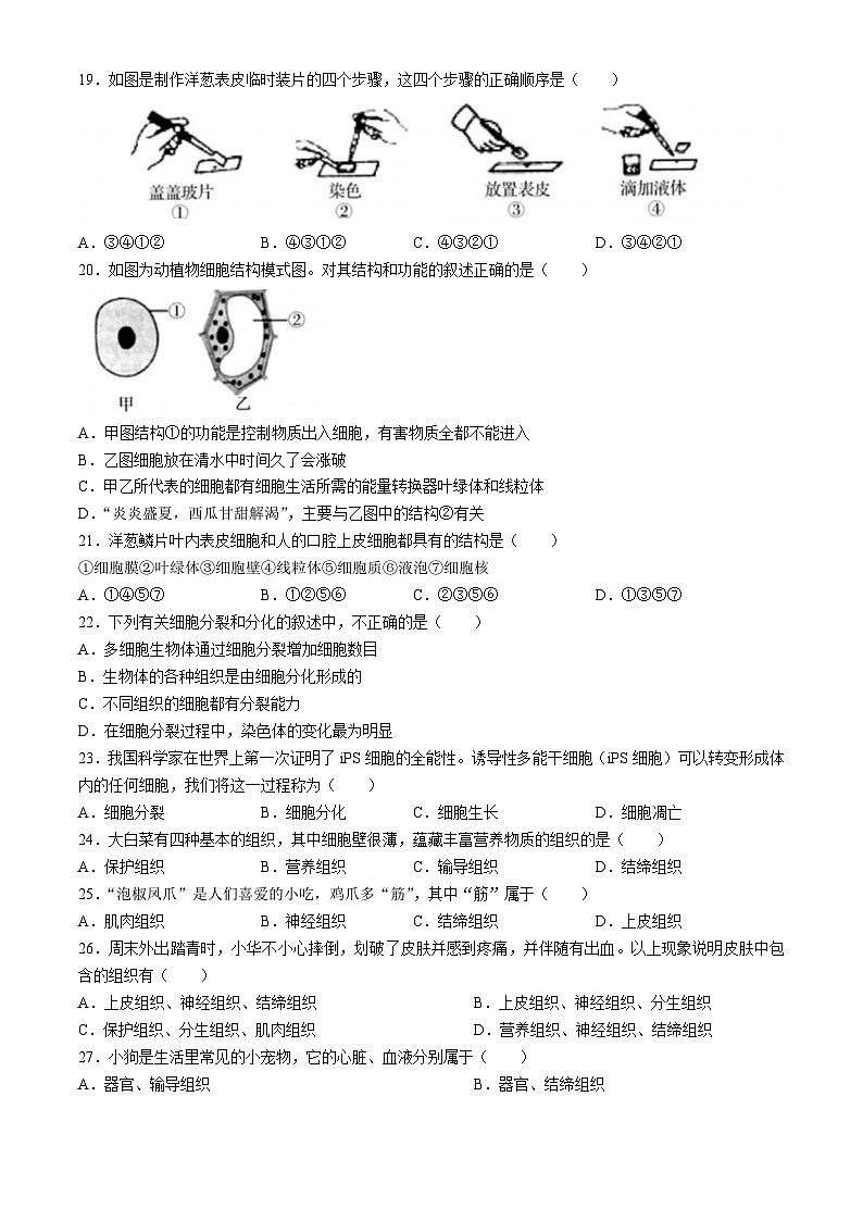 广东省梅州市大埔县2024-2025学年七年级上学期期中生物学试题第3页