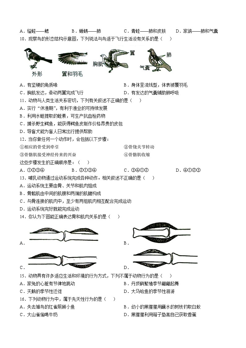 安徽省安庆市怀宁县2024-2025学年八年级上学期期中生物学试题第2页