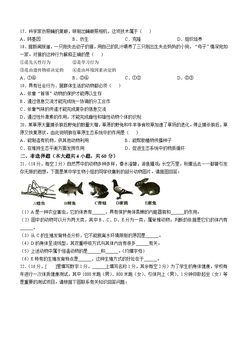 安徽省安庆市怀宁县2024-2025学年八年级上学期期中生物学试题第3页