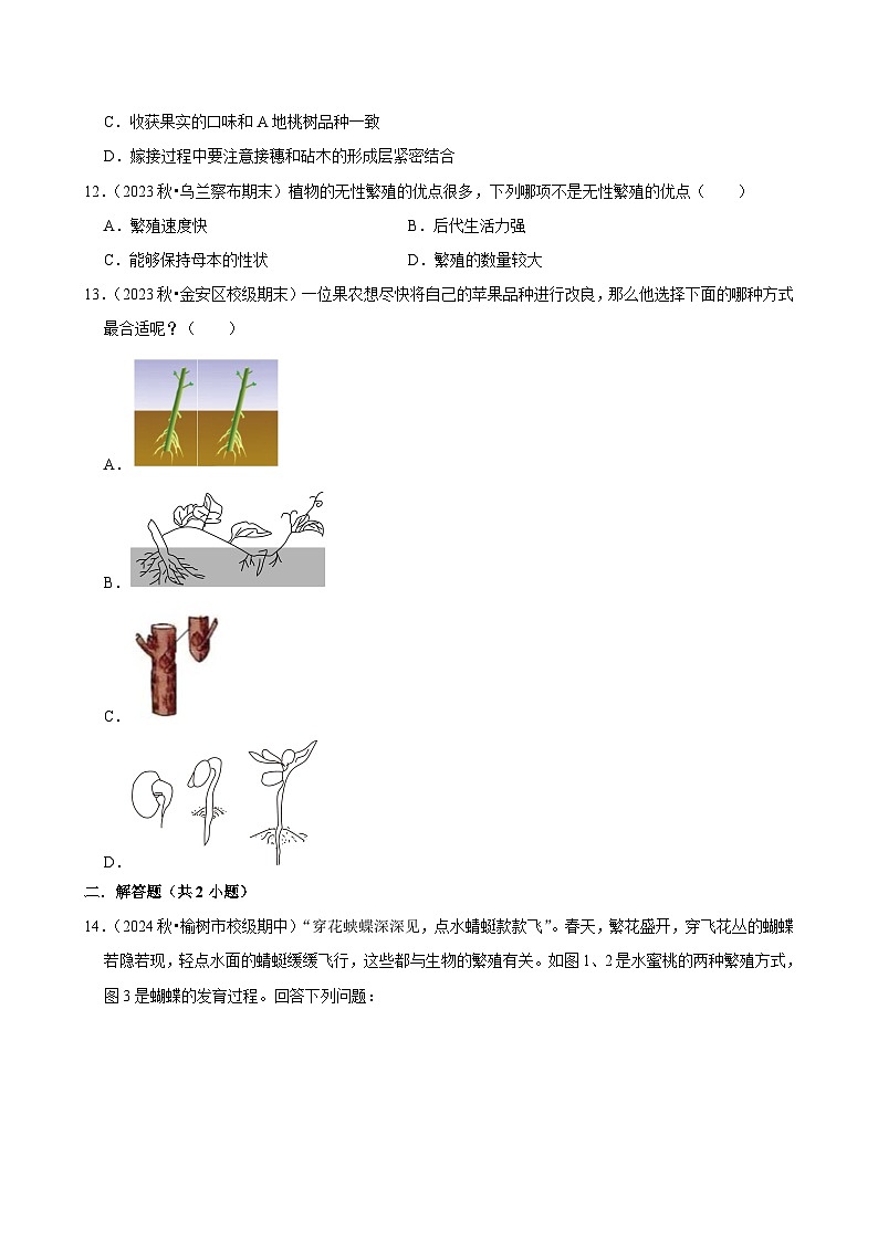 2024-2025学年初中生物（北师大版）八年级上册期末必刷常考题：植物的生殖方式第3页