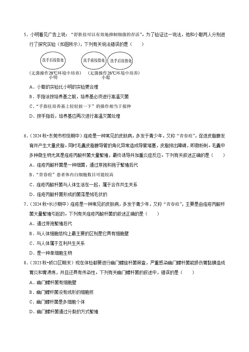 2024-2025学年初中生物（人教版）八年级上册期末必刷常考题：细菌第2页