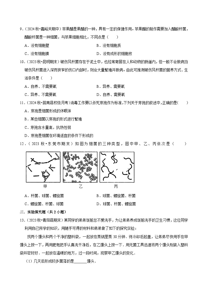 2024-2025学年初中生物（人教版）八年级上册期末必刷常考题：细菌第3页