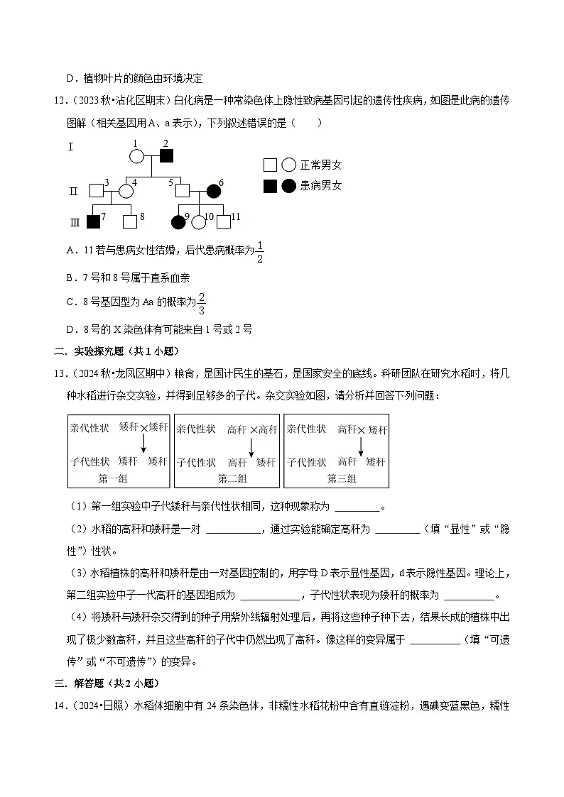 2024-2025学年初中生物（北师大版）八年级上册期末必刷常考题：生物的遗传和变异第3页