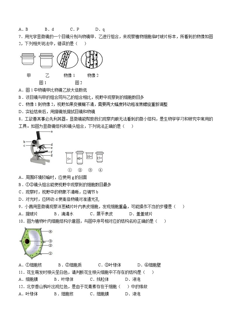 江西省抚州市金溪县第一中学2024-2025学年七年级上学期期中生物学试题第2页