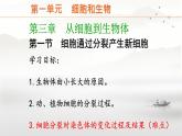初中  生物  人教版（2024）  七年级上册  第一单元  第三章  第一节 细胞通过分裂产生新细胞 课件