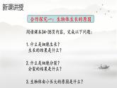 初中  生物  人教版（2024）  七年级上册  第一单元  第三章  第一节 细胞通过分裂产生新细胞 课件