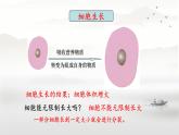 初中  生物  人教版（2024）  七年级上册  第一单元  第三章  第一节 细胞通过分裂产生新细胞 课件