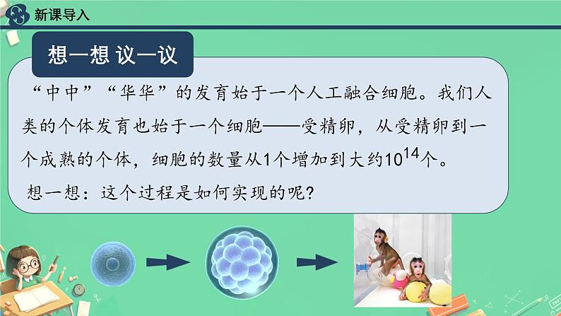 初中  生物  人教版（2024）  七年级上册  第一单元  第三章  第一节 细胞通过分裂产生新细胞 课件第2页