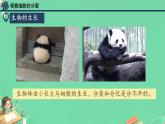 初中  生物  人教版（2024）  七年级上册  第一单元  第三章  第一节 细胞通过分裂产生新细胞 课件