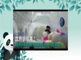 初中  生物  人教版（2024）  七年级上册  第一单元  第三章  第一节 细胞通过分裂产生新细胞 课件