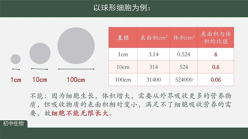 初中  生物  人教版（2024）  七年级上册  第一单元  第三章  第一节 细胞通过分裂产生新细胞 课件第6页