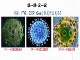 2.3.4 病毒-初中生物七年级上册 同步教学课件+教学设计（人教版2024）