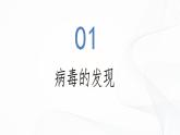 2.3.4 病毒-初中生物七年级上册 同步教学课件+教学设计（人教版2024）