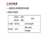 初中生物新人教版七年级上册第一单元第二章第四节 细胞的生活作业课件2024秋