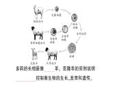 初中生物新人教版七年级上册第一单元第二章第四节 细胞的生活作业课件2024秋