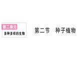 初中生物新人教版七年级上册第二单元第一章第二节 种子植物作业课件2024秋