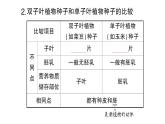 初中生物新人教版七年级上册第二单元第一章第二节 种子植物作业课件2024秋