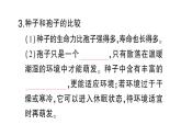 初中生物新人教版七年级上册第二单元第一章第二节 种子植物作业课件2024秋