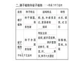 初中生物新人教版七年级上册第二单元第一章第二节 种子植物作业课件2024秋