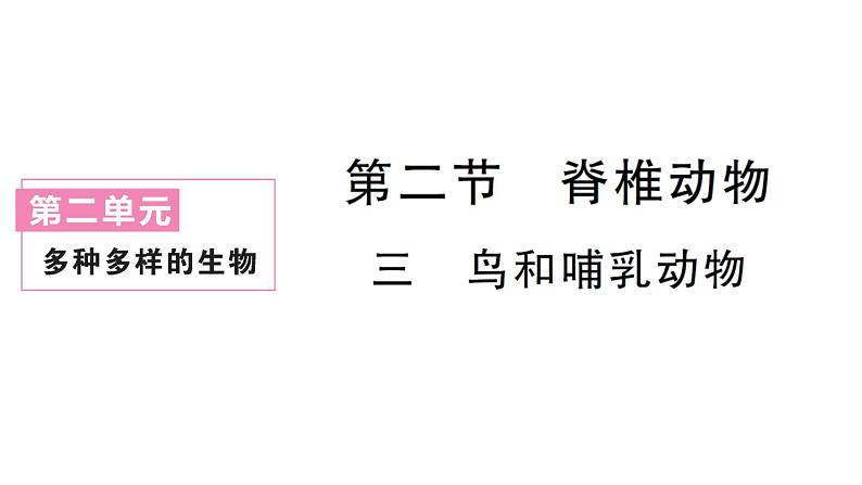 初中生物新人教版七年级上册第二单元第二章第二节三鸟和哺乳动物作业课件2024秋01