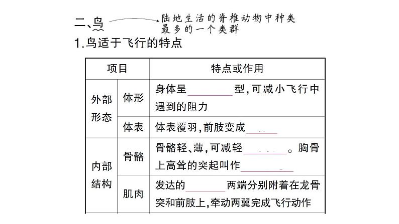 初中生物新人教版七年级上册第二单元第二章第二节三鸟和哺乳动物作业课件2024秋03