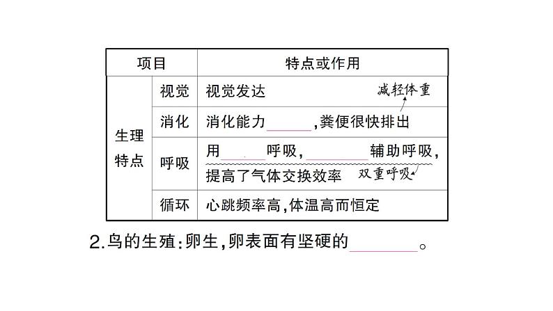 初中生物新人教版七年级上册第二单元第二章第二节三鸟和哺乳动物作业课件2024秋04