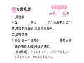 初中生物新人教版七年级上册第二单元第三章第一节 微生物的分布作业课件2024秋