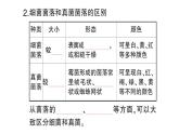 初中生物新人教版七年级上册第二单元第三章第一节 微生物的分布作业课件2024秋
