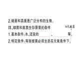 初中生物新人教版七年级上册第二单元第三章第一节 微生物的分布作业课件2024秋