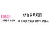 初中生物新人教版七年级上册第二单元第三章综合实践项目 利用细菌或真菌制作发酵食品作业课件2024秋