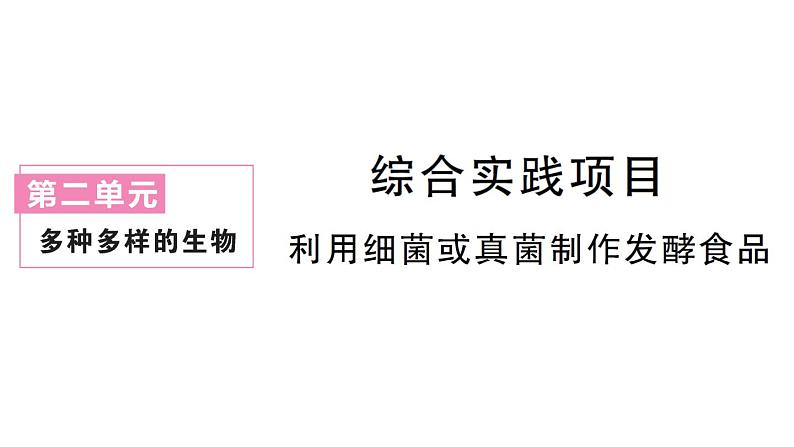 初中生物新人教版七年级上册第二单元第三章综合实践项目 利用细菌或真菌制作发酵食品作业课件2024秋第1页