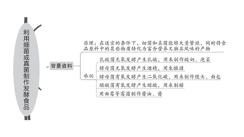 初中生物新人教版七年级上册第二单元第三章综合实践项目 利用细菌或真菌制作发酵食品作业课件2024秋第2页