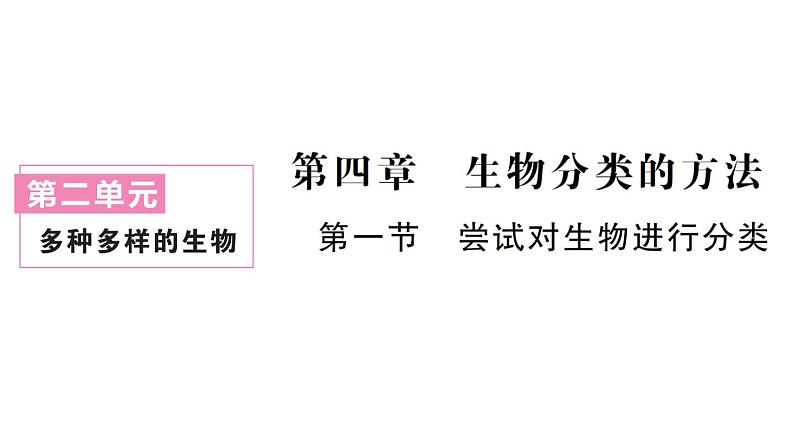 初中生物新人教版七年级上册第二单元第四章第一节 尝试对生物进行分类作业课件2024秋第1页