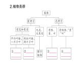 初中生物新人教版七年级上册第二单元第四章第一节 尝试对生物进行分类作业课件2024秋
