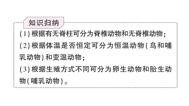 初中生物新人教版七年级上册第二单元第四章第一节 尝试对生物进行分类作业课件2024秋第5页