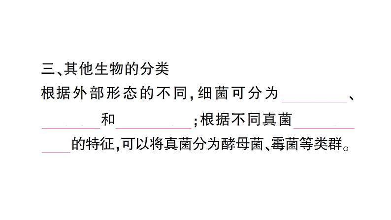 初中生物新人教版七年级上册第二单元第四章第一节 尝试对生物进行分类作业课件2024秋第6页