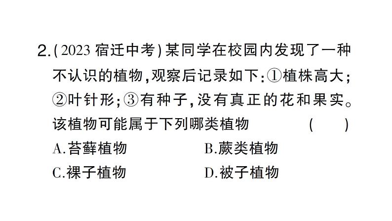 初中生物新人教版七年级上册第二单元第四章第一节 尝试对生物进行分类作业课件2024秋第8页