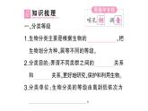 初中生物新人教版七年级上册第二单元第四章第二节 从种到界作业课件2024秋