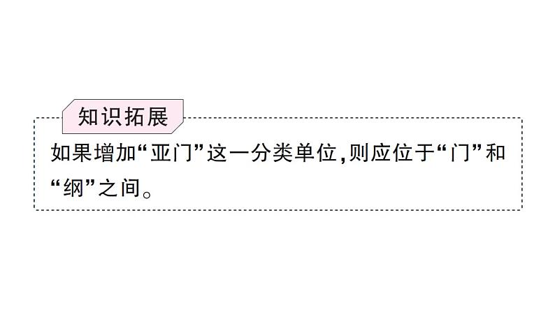 初中生物新人教版七年级上册第二单元第四章第二节 从种到界作业课件2024秋第3页