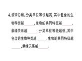 初中生物新人教版七年级上册第二单元第四章第二节 从种到界作业课件2024秋