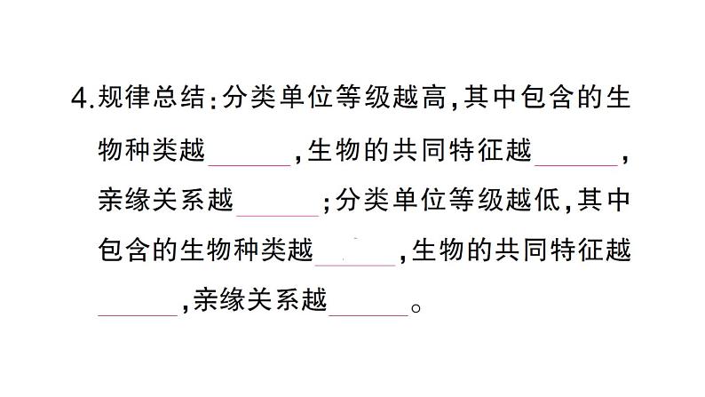 初中生物新人教版七年级上册第二单元第四章第二节 从种到界作业课件2024秋第4页