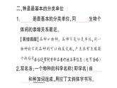 初中生物新人教版七年级上册第二单元第四章第二节 从种到界作业课件2024秋
