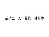 初中生物新北师大版七年级上册活动二 无土栽培一种植物作业课件2024秋