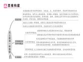 初中生物新北师大版七年级上册活动二 无土栽培一种植物作业课件2024秋