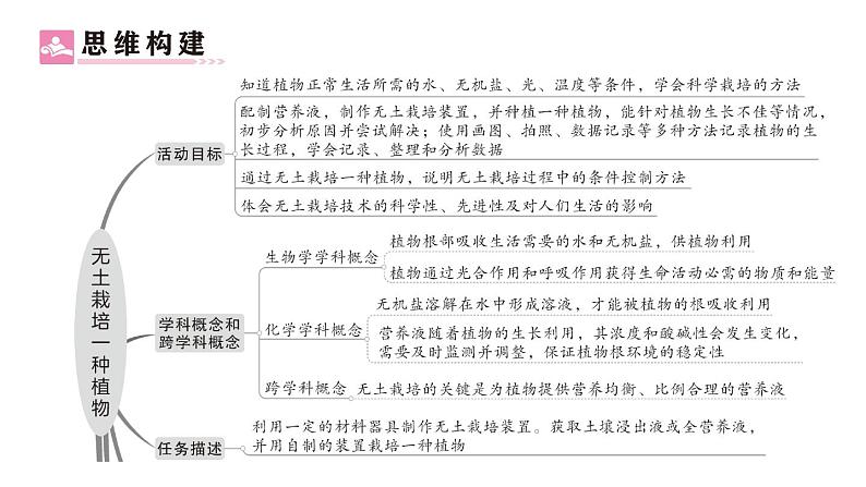初中生物新北师大版七年级上册活动二 无土栽培一种植物作业课件2024秋第2页