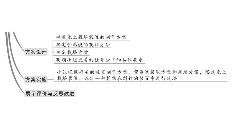 初中生物新北师大版七年级上册活动二 无土栽培一种植物作业课件2024秋第3页